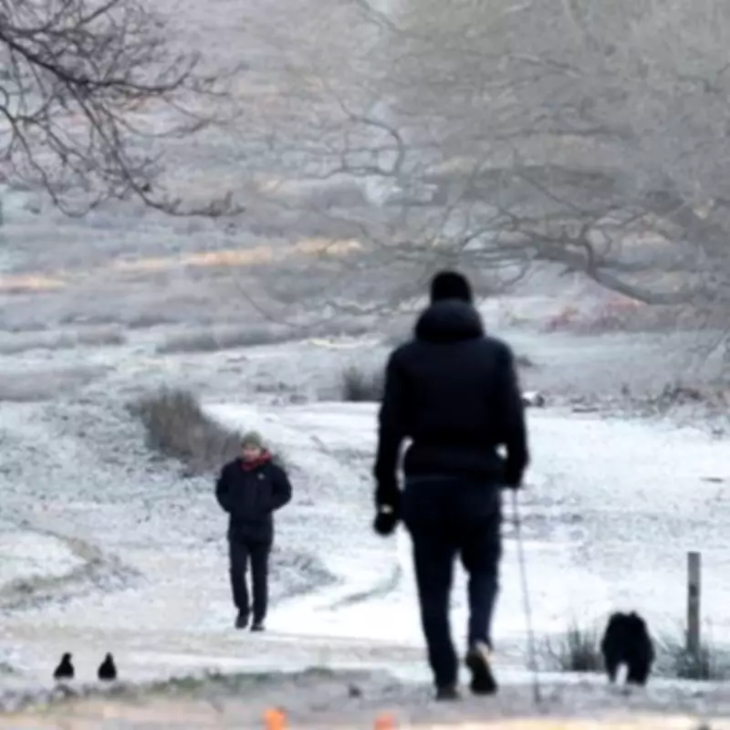 UK Spring Weather Turns Wintry as Frost and Freezing Temperatures Persist