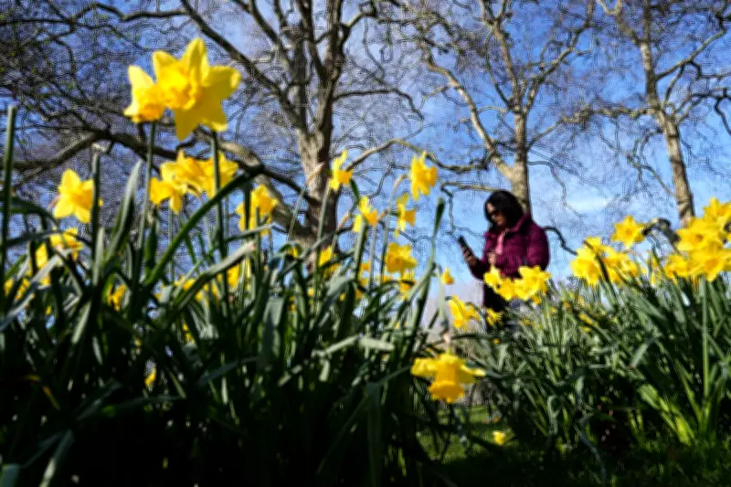 UK to Outshine Barcelona as Spring Heatwave Continues with 18C Highs