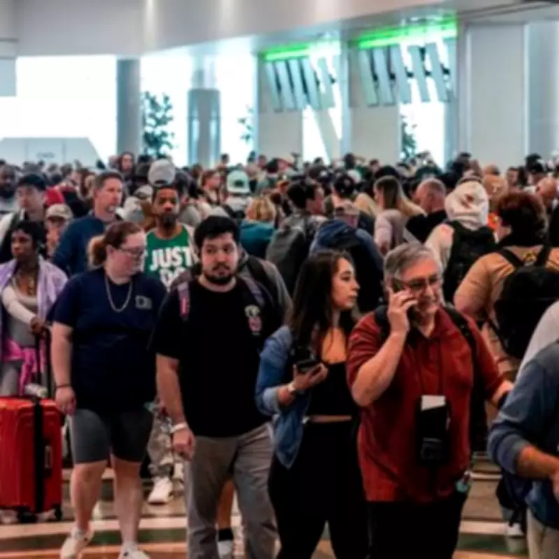 UK Tourists Warned of 'Hellish' Queues at Tenerife South Airport