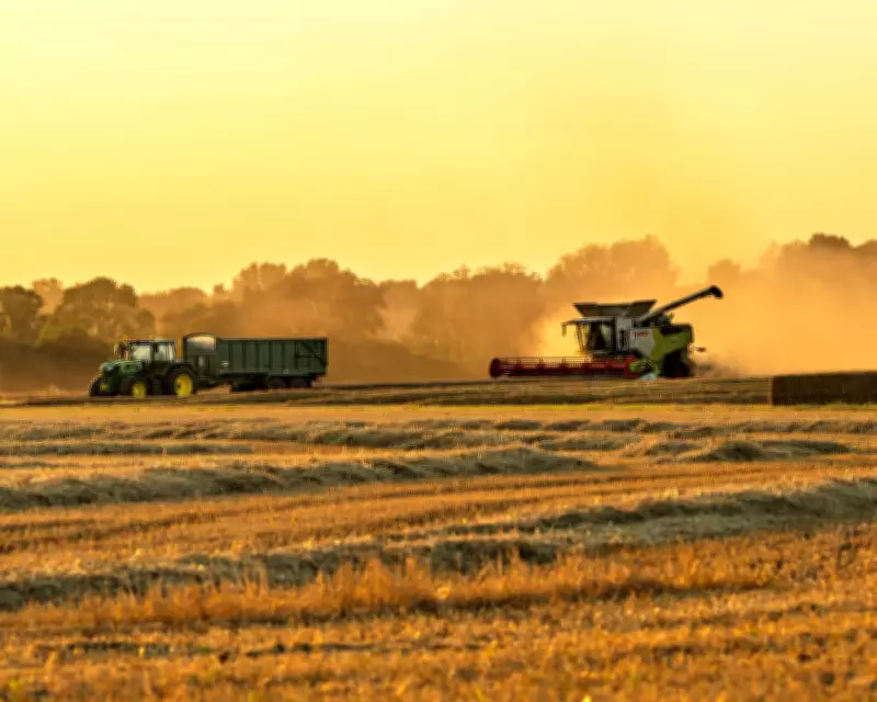 UK Urged to Stockpile Food Amid Climate and War Vulnerability Warnings