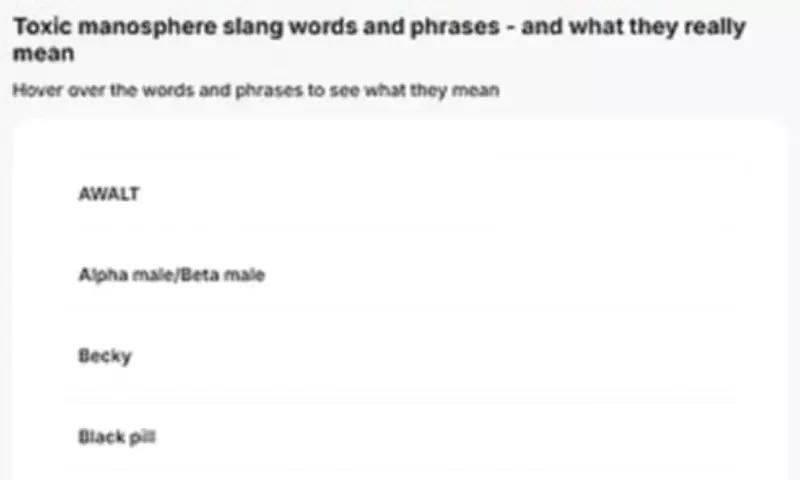 UN Decodes Manosphere Slang as Louis Theroux Documentary Sparks Debate