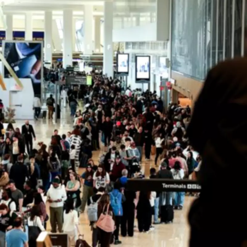 United Airlines Grounds Hundreds of Flights Until Summer's End Amid Fuel Crisis