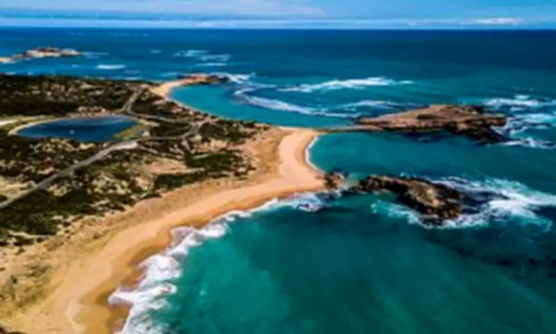 Urgent Search for Missing Fishermen Off South Australia's Coast