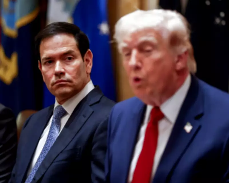 US Directs Embassies to Counter Foreign Propaganda with Musk's X Platform