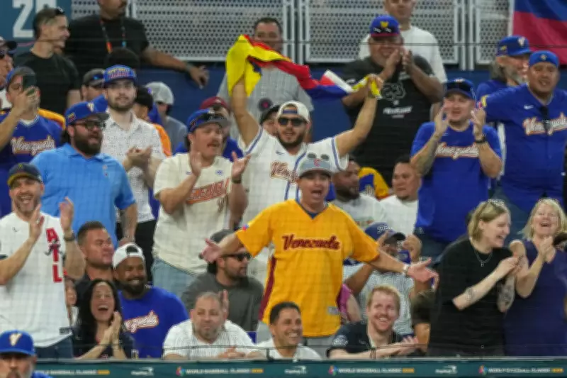 Venezuelan Fans Transform Miami's World Baseball Classic into Joyful Celebration