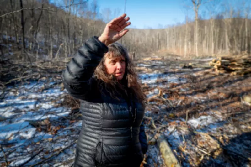 Vermont Silent Retreat Forced to Relocate as Forest Logging Sparks Debate