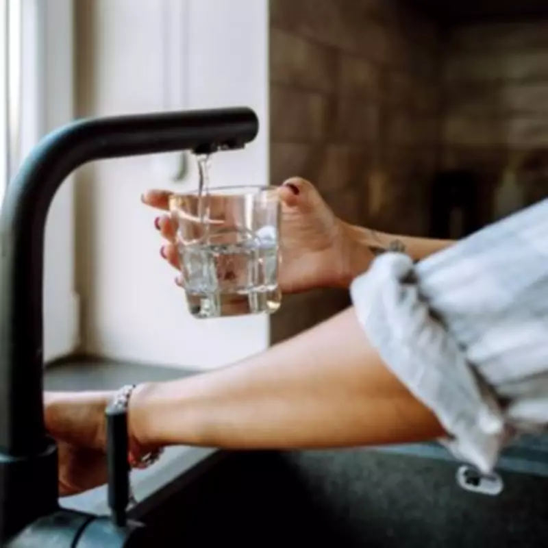 Vet Issues Crucial Tap Water Warning to Dog Owners This Winter