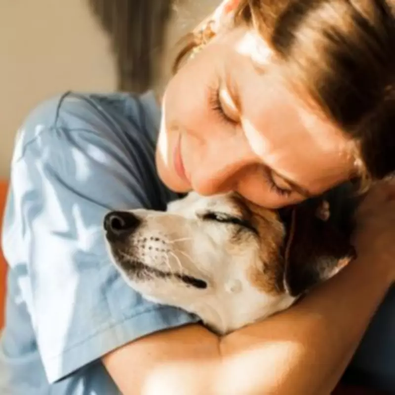Vet Nurse Reveals Top 5 Easiest Dog Breeds for First-Time Owners
