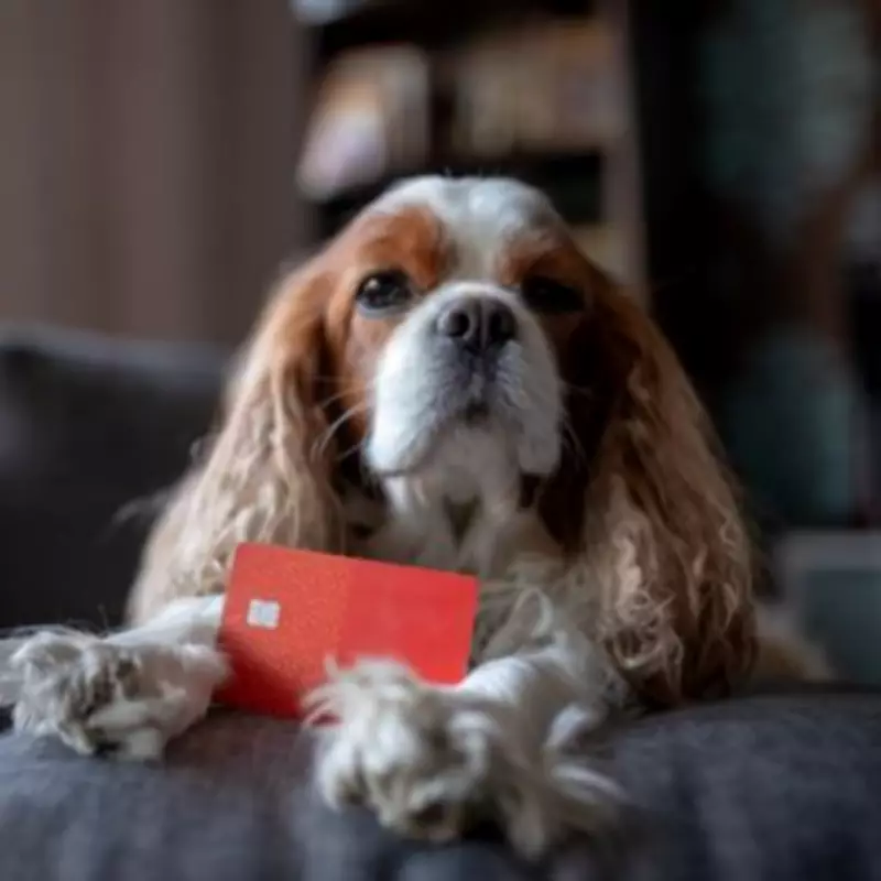 Vet Reveals 5 Dog Breeds He Would Never Own Due to Heartbreaking Health Issues