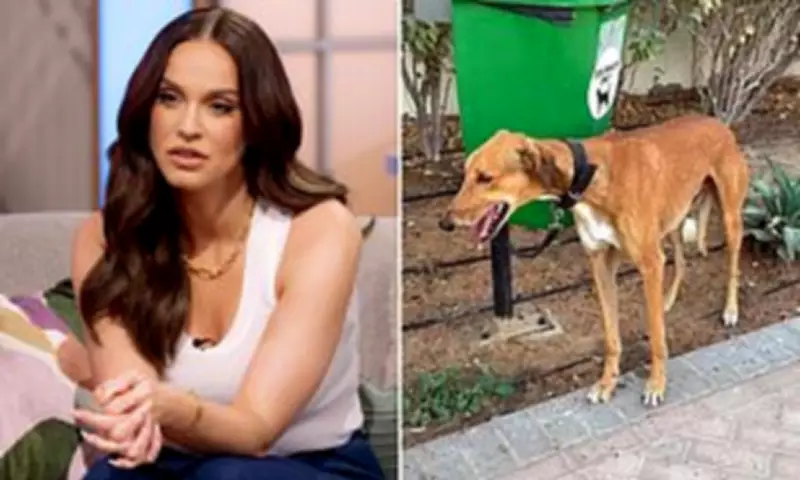 Vicky Pattison Slams Dubai Expats Abandoning Pets Amid Middle East Missile Crisis