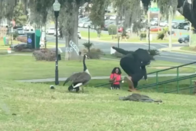 Viral Aggressive Goose Terrorises Florida A&M University Campus Students