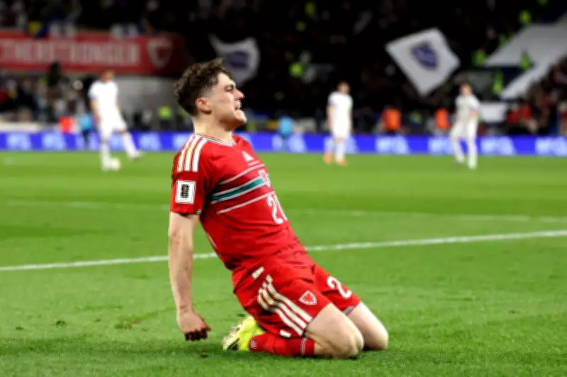 Wales vs Northern Ireland Friendly: TV Channel, Kick-Off Time and How to Watch