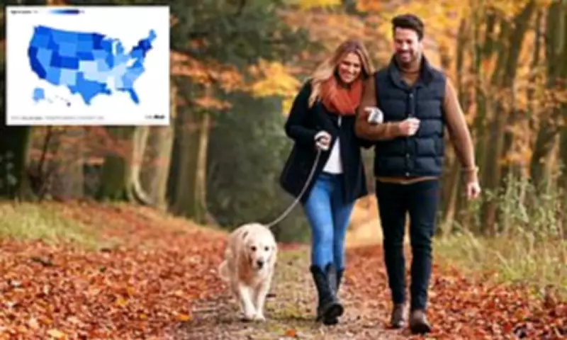 Walking Speed Emerges as Key Predictor of Mortality, Outperforming Traditional Health Metrics