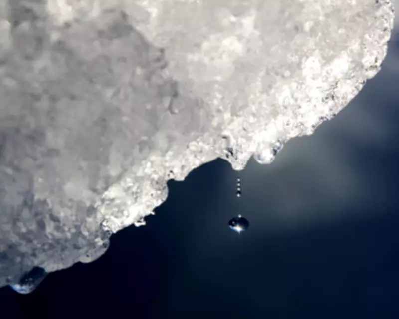 Warmer World to Transform Antarctica with Increased Rainfall