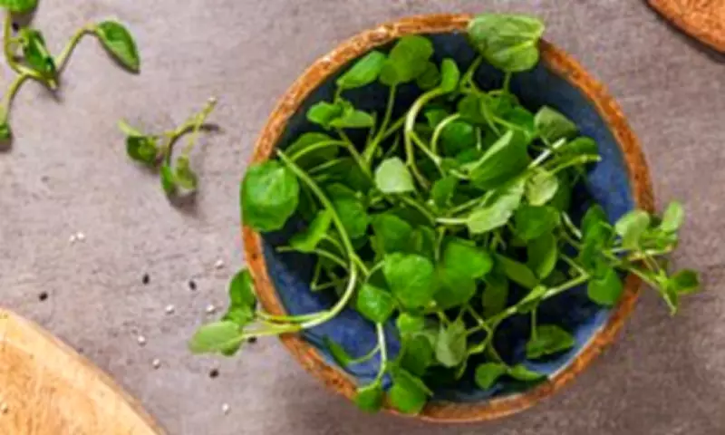 Watercress Crowned World's Healthiest Vegetable: Nutrition Secrets Revealed
