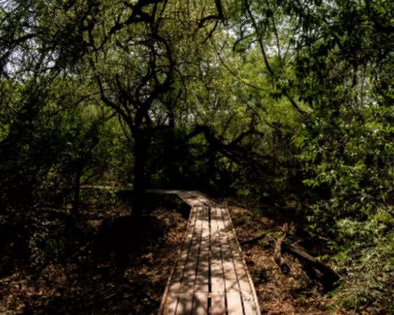 Weaving and Kayak Tours Combat Deforestation in Argentina's Gran Chaco