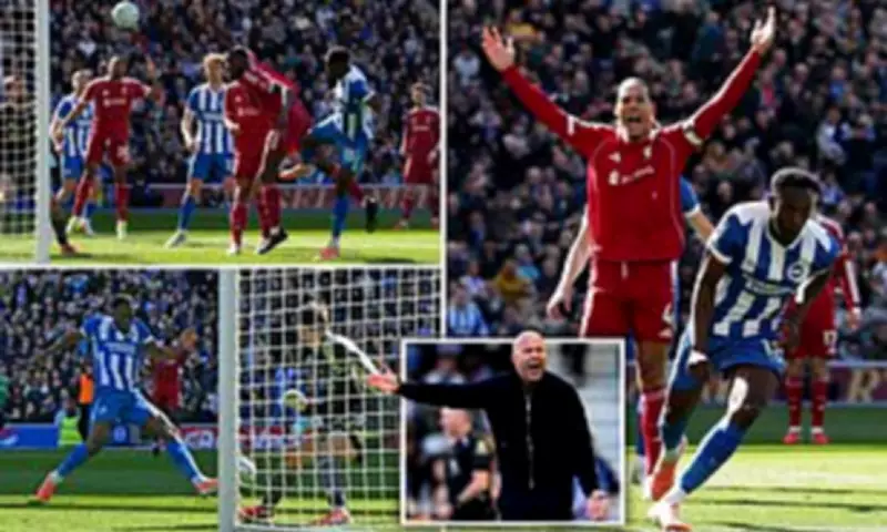 Welbeck Double Sinks Liverpool as Brighton Soar to Season's Biggest Victory