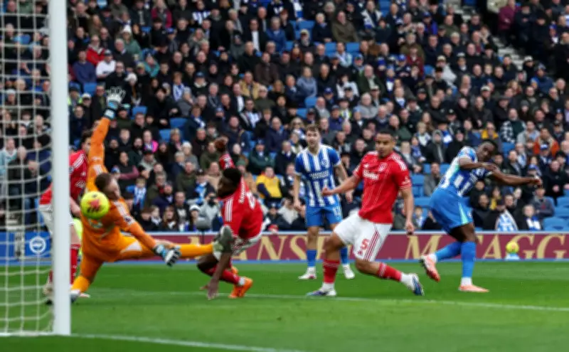 Welbeck's Winner Seals Brighton Victory, Leaves Nottingham Forest in Relegation Peril