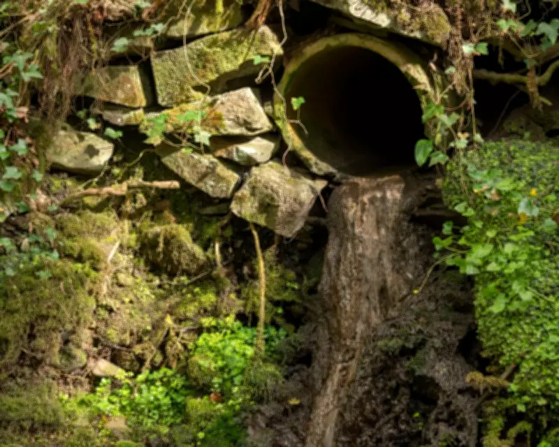 Welsh Water Faces £44.7m Penalty for Sewage Breaches in Carmarthenshire