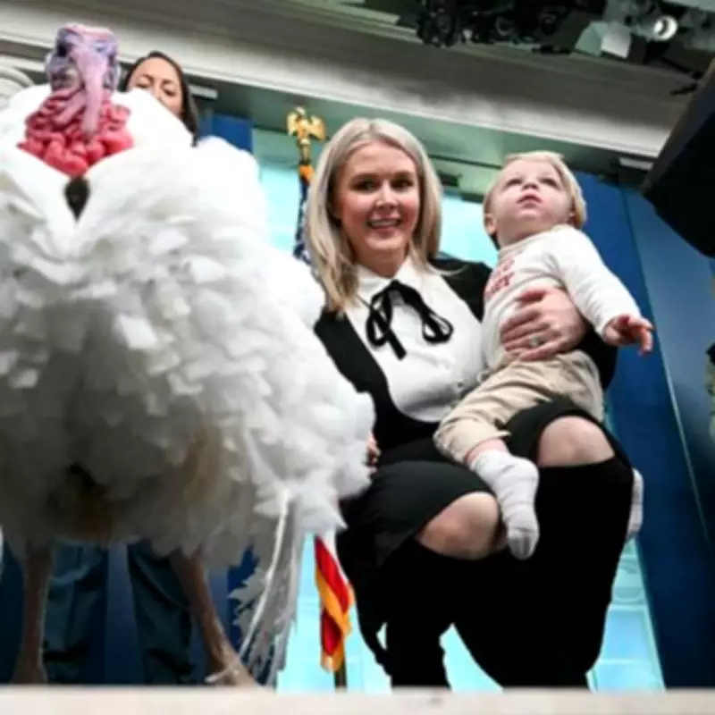 White House Objection Leads to Removal of Unflattering Karoline Leavitt Photo