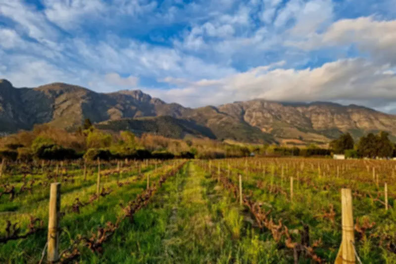 Why a 6,000-Mile Flight to South Africa Is Worth It for Winter Sun