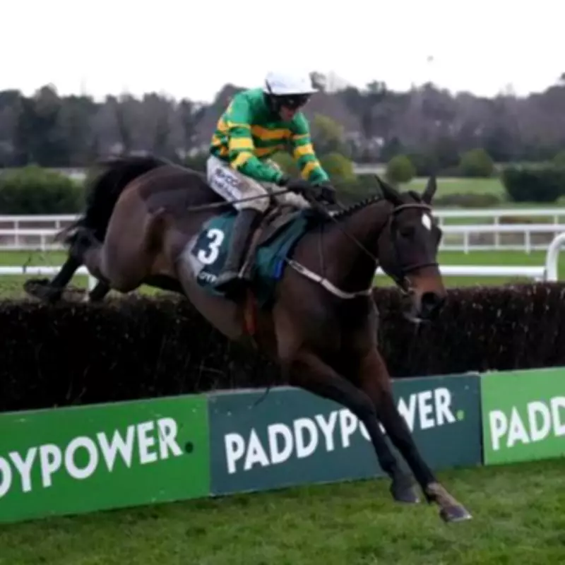 Willie Mullins Hints Fact To File Will Defend Ryanair Chase Title