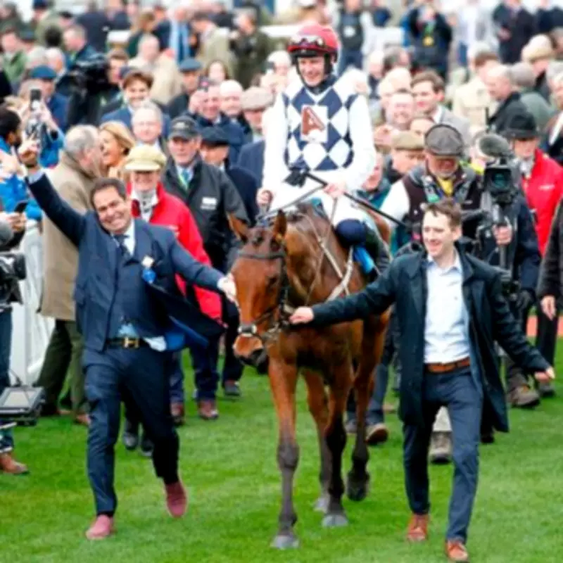 Willie Mullins' Star Jumper Ballyburn Ruled Out for Season and Next Year