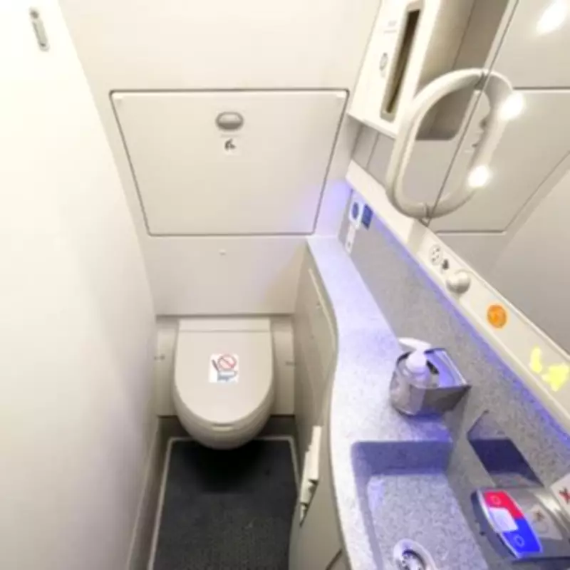 Woman Discovers Secret Sanitary Compartment on Flight, Urges Awareness