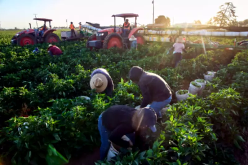 Women Farmworker Advocates Break Silence on Sexual Assault Amid Chavez Allegations