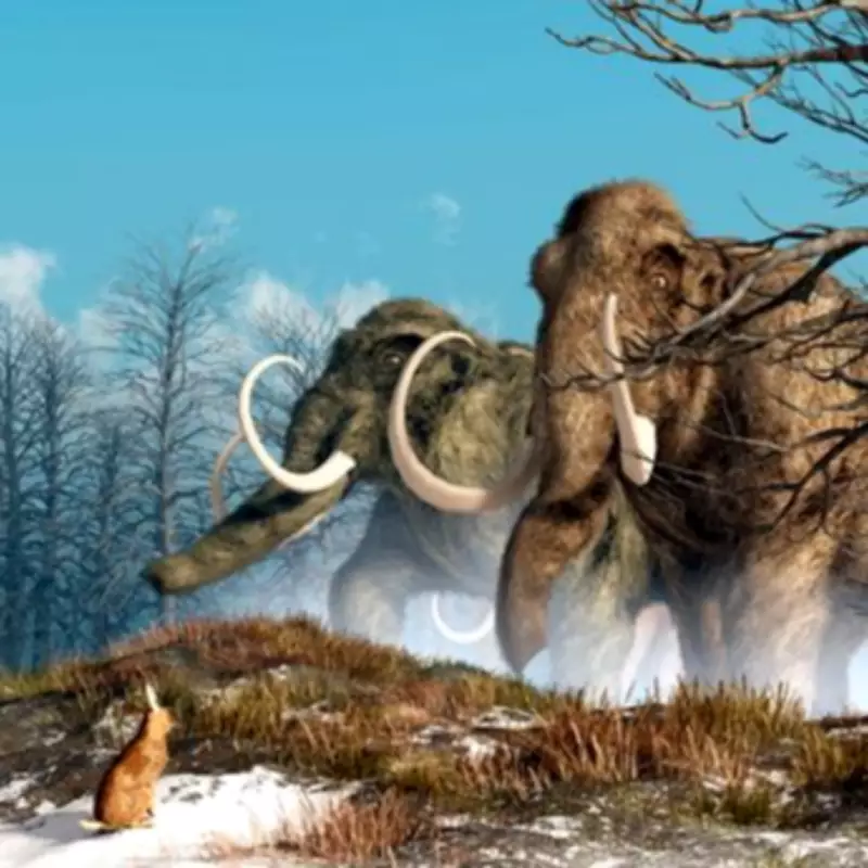 Woolly Mammoth Resurrection Project Aims for 2028 Hybrid Creature Release