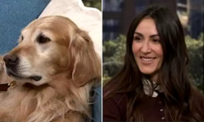 Worcestershire Woman Earns £150k Yearly Through Instagram-Famous Golden Retrievers