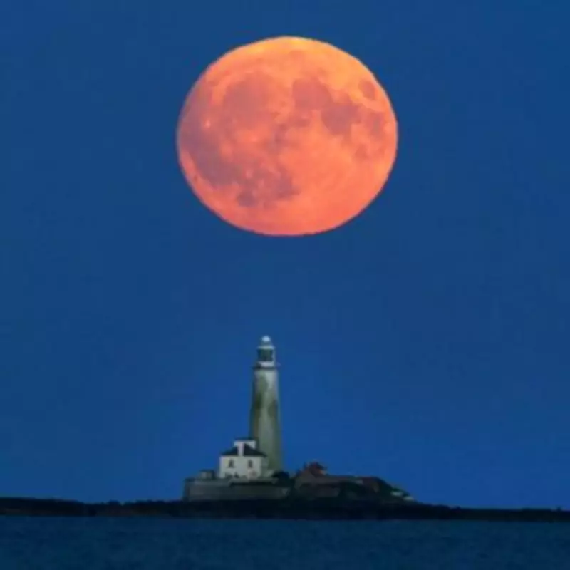 Worm Moon 2026: Exact Viewing Times and Lunar Eclipse Details