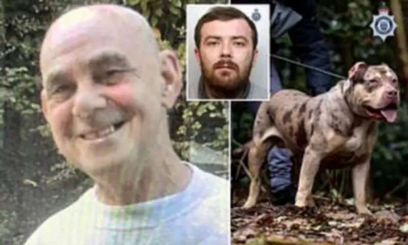 XL Bully Owner Guilty After Dog Savaged Pensioner to Death in Warrington