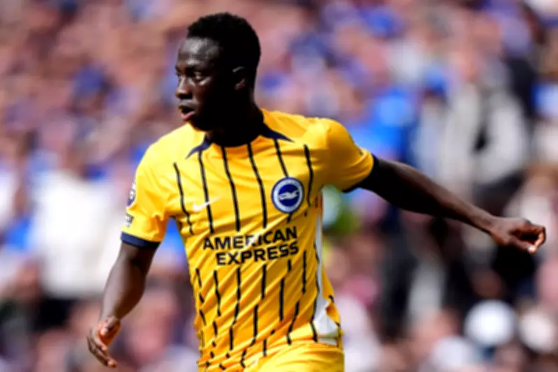 Yankuba Minteh Strikes Decisive Goal in Brighton's Victory Over Sunderland