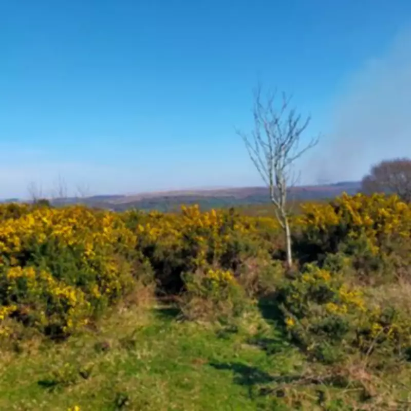 Yelverton: The Bustling Roundabout Village Where Countryside Meets Thriving Shops