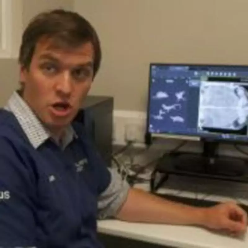 Yorkshire Vet Shocked by X-Ray Revealing Tortoise's 10 Eggs