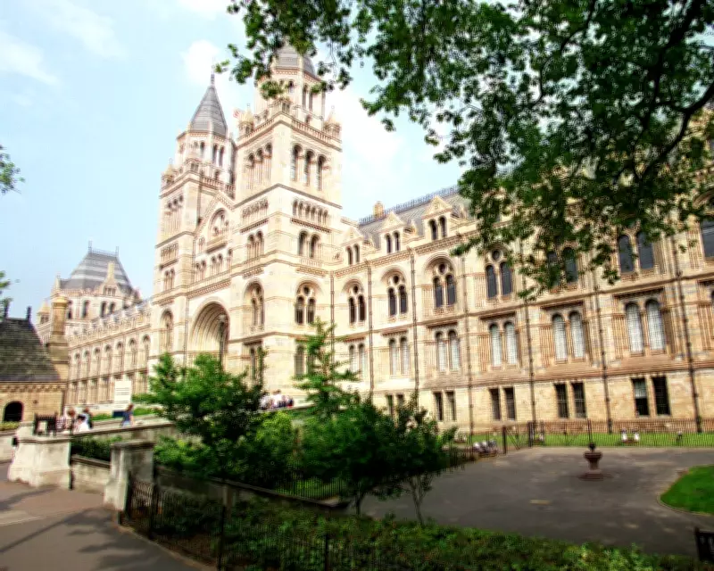 Zimbabwe Descendants Demand Return of Looted Skulls from UK Museums