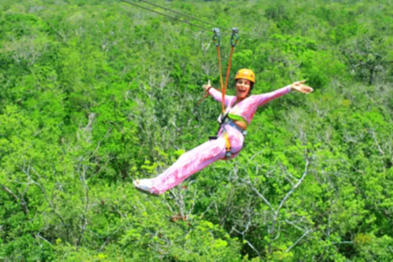 Zipwire Fraudster's Suspended Sentence Sparks Outrage Among Disabled Community