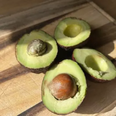 Aldi vs Lidl Avocado Showdown: One Remained Rock-Hard for Over a Week