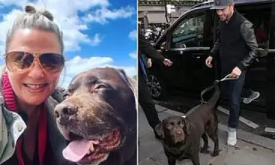 Ant McPartlin and Lisa Armstrong Divide Beloved Dog Hurley's Ashes After Death