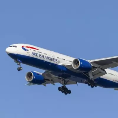 Berlin Airport Halts All Flights, Cancelling Trips from London and Manchester