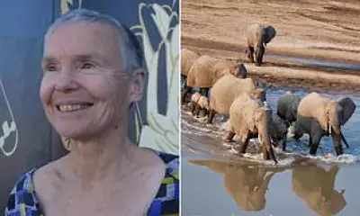 British Teacher and Cousin Killed by Elephant on Zambia Safari, Coroner Rules