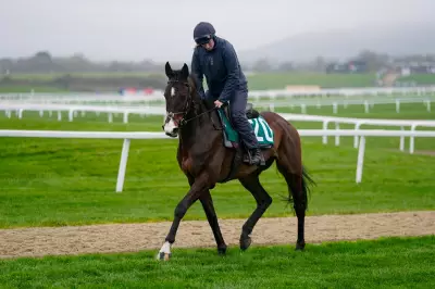 Cheltenham Festival 2026: Last-Minute Ticket Availability and Prices