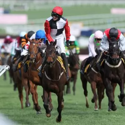 Cheltenham Festival Jockeys Suspended After 50/1 Winner Investigation