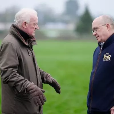 Cheltenham Festival Shocker: Willie Mullins Withdraws Favourite Over Ground