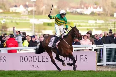 Cheltenham Gold Cup 2026: Complete Guide to Runners, Odds and Start Time