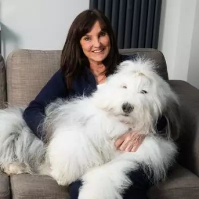 Dulux Dogs Face Extinction as Iconic Breed Hits Six-Decade Low