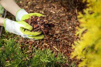 Expert Guide: Choosing the Right Mulch for Your Garden Beds and Borders
