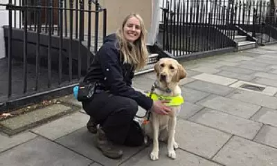 Guide Dog Matchmaker Ellie Brown Reveals How She Pairs Dogs with Owners