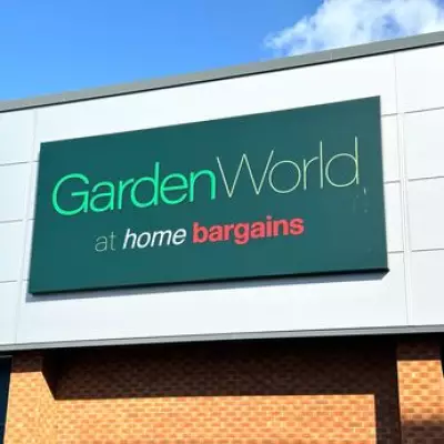 Home Bargains' £4 Solar Flowers Add Year-Round Glow to Gardens